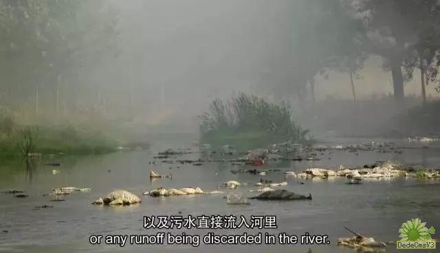 从图库选择图片 中国全面禁洋垃圾!整个欧美一下崩溃成这样