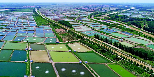 03_03_1695.jpg 03_03_1695.jpg